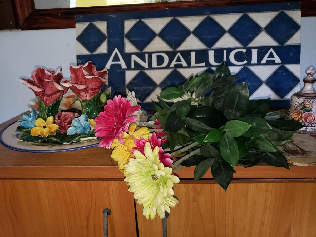 Andalucia Guest House Сан-Хуан Экстерьер фото