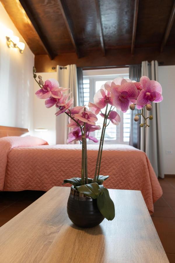 Andalucia Guest House Сан-Хуан Экстерьер фото
